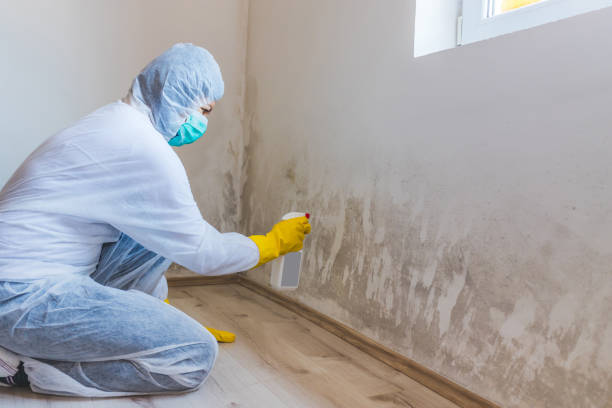 Licensed Crawl Space Mold Removal service in Waverly, NY - WQB Mold Removal