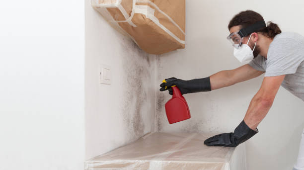 Professional Crawl Space Mold Removal technician working in Waverly, NY