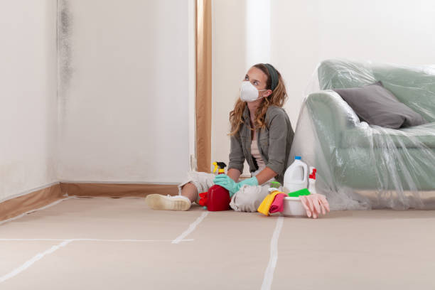Reliable Crawl Space Mold Removal contractor in Waverly, NY by WQB Mold Removal